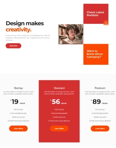 custom website design mockup